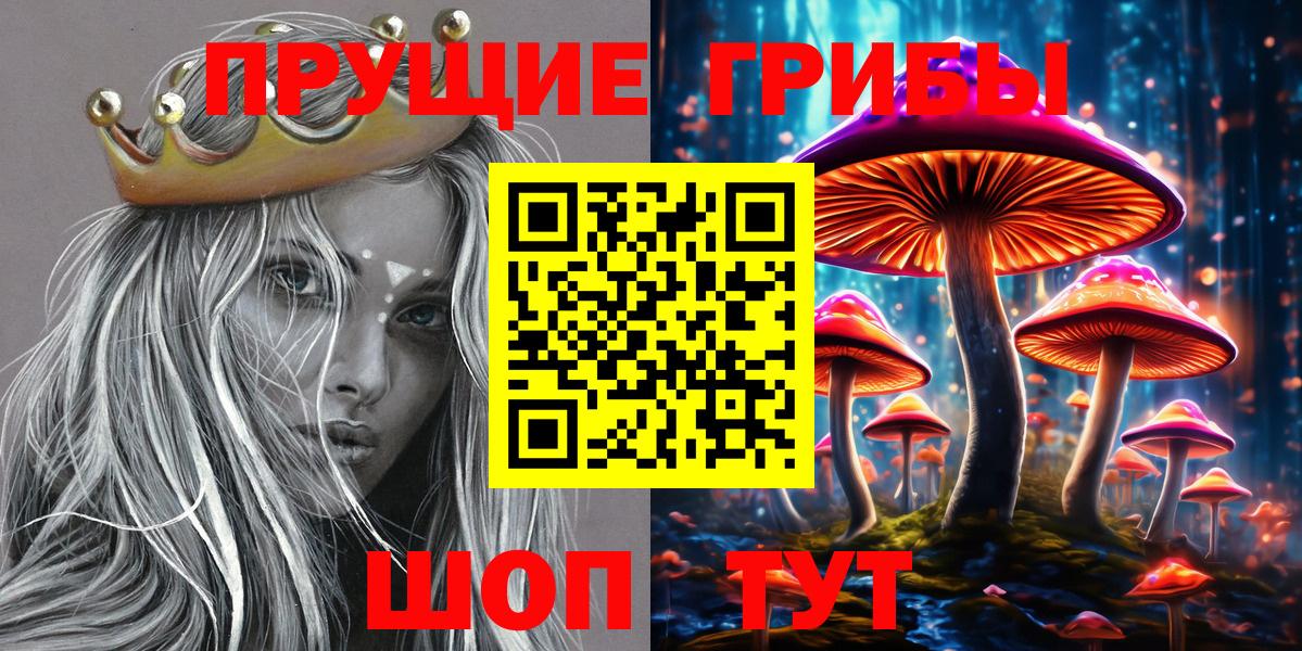 Псилоцибиновые грибы Psilocybe  Галлюциногенные грибы мухоморы  Глазов  Вход с VPN 